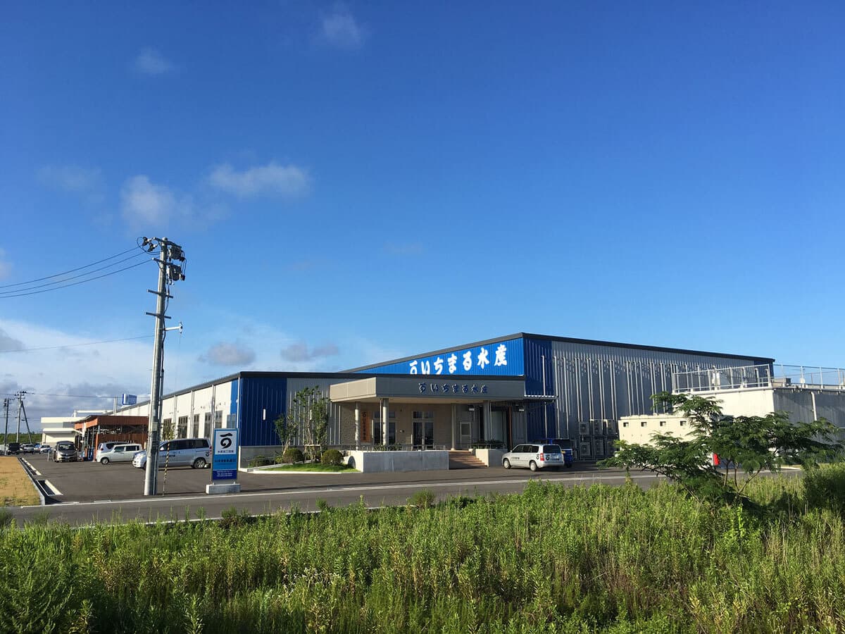 06_factory.jpg